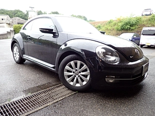 Заказать VOLKSWAGEN THE BEETLE