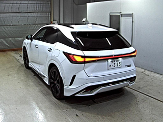Заказать LEXUS RX