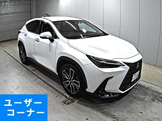 Заказать LEXUS NX