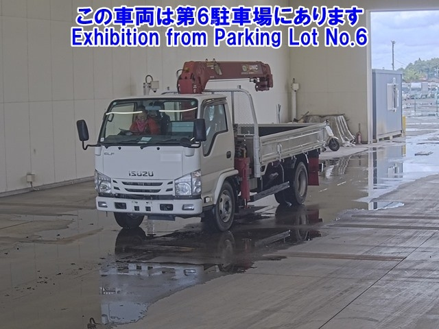 ISUZU ELF 2019