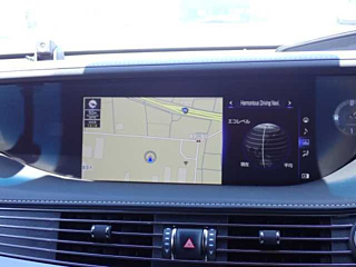 LEXUS LS 2020