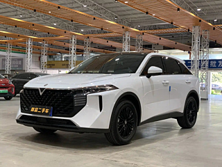 Заказать VENUCIA BIG V