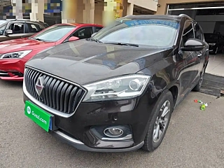 Заказать BORGWARD BX7