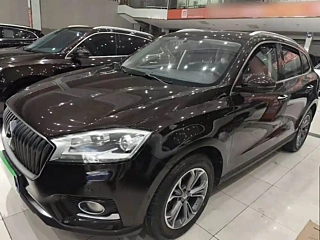 Заказать BORGWARD BX7