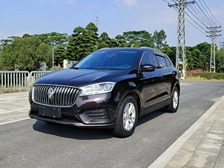 Заказать BORGWARD BX7