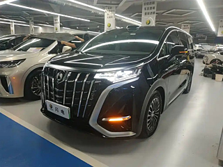 Заказать DENZA D9