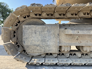 OTHERS CAT 2019