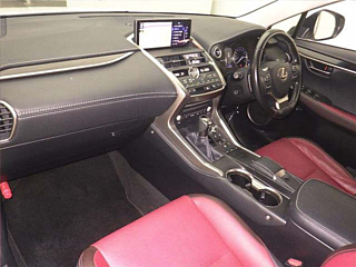 LEXUS NX 2018