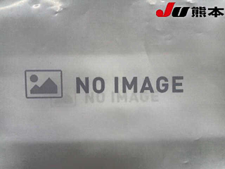 NISSAN JUKE 2010