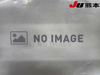 NISSAN JUKE 2010