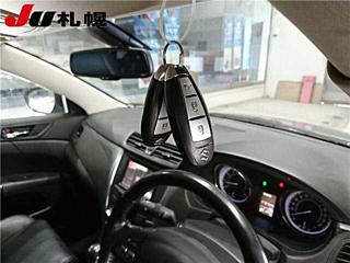 SUZUKI KIZASHI 2010