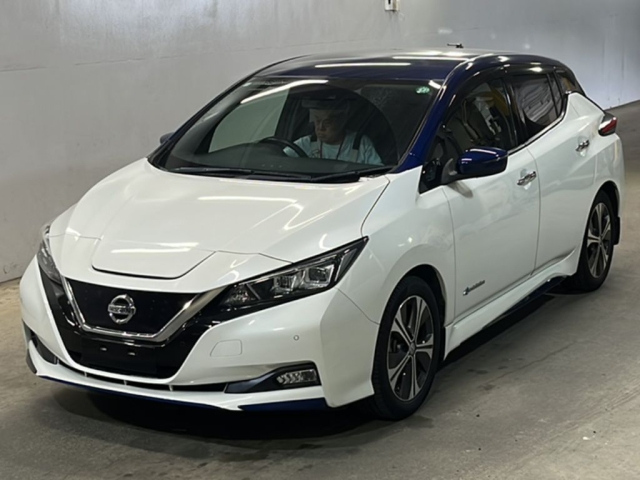 NISSAN LEAF 2018