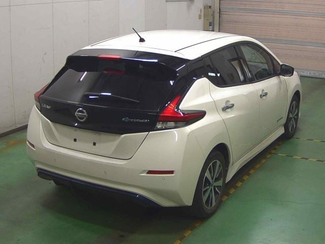 NISSAN LEAF 2019