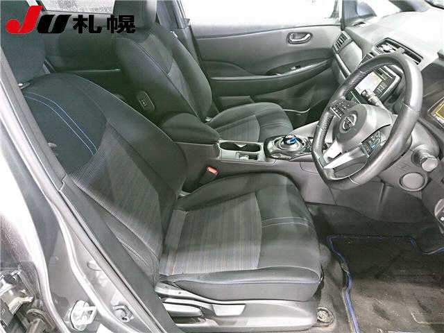 NISSAN LEAF 2019