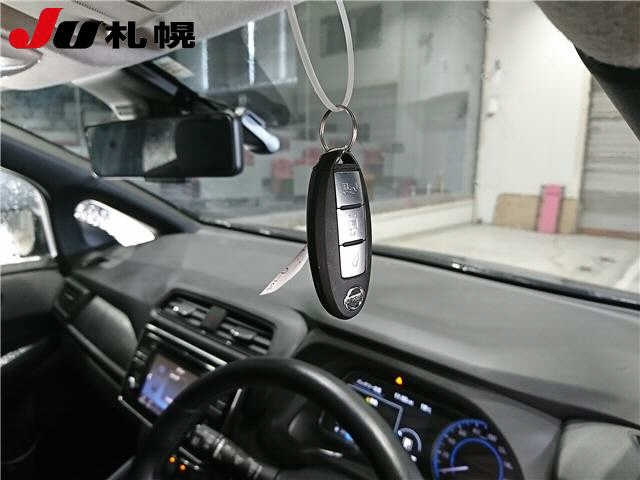 NISSAN LEAF 2019