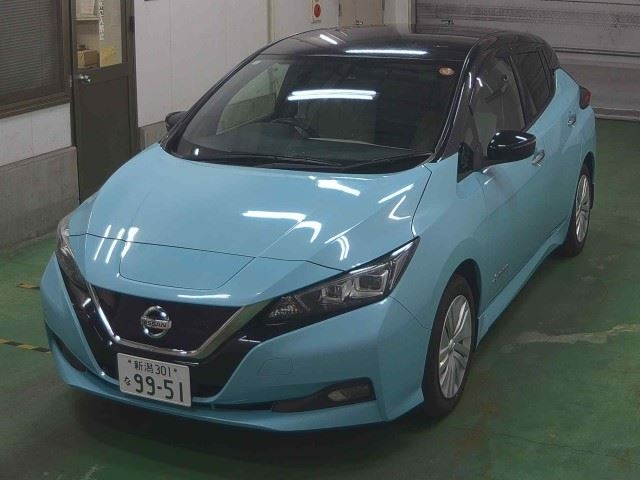 NISSAN LEAF 2018