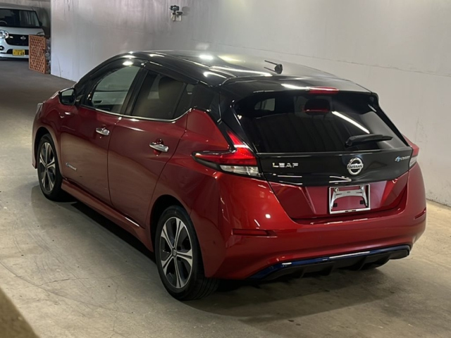 NISSAN LEAF 2020