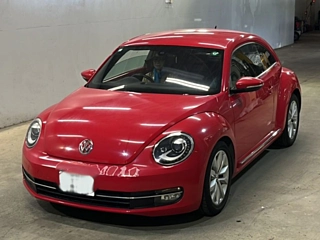VOLKSWAGEN THE BEETLE 2012