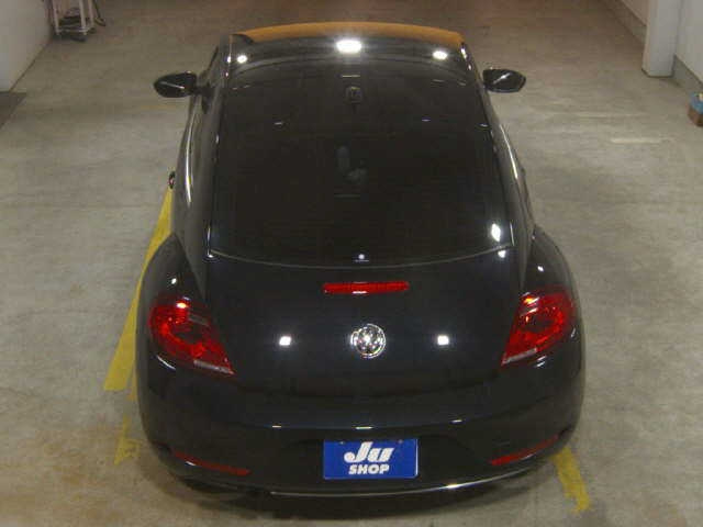 VOLKSWAGEN THE BEETLE 2016