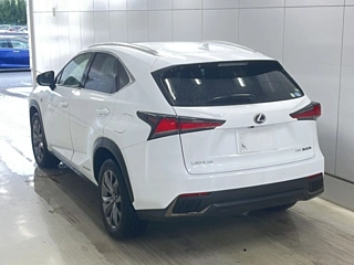 LEXUS NX 2019
