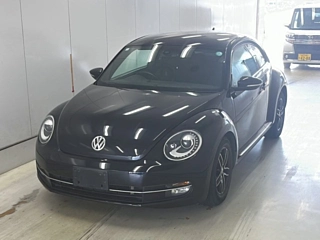 VOLKSWAGEN THE BEETLE 2016