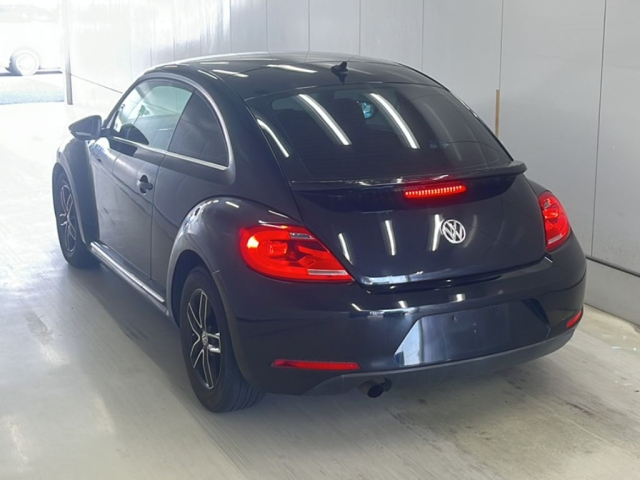VOLKSWAGEN THE BEETLE 2016