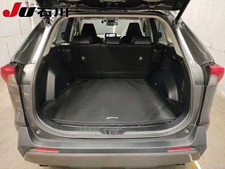 TOYOTA RAV4 2019