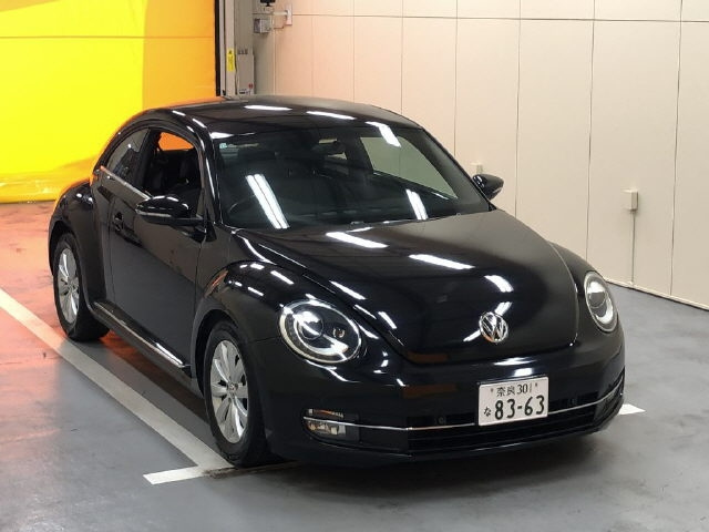 VOLKSWAGEN THE BEETLE 2012