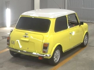 Заказать ROVER MINI