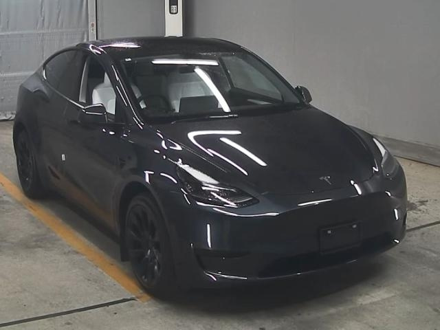TESLA MODELY 2024