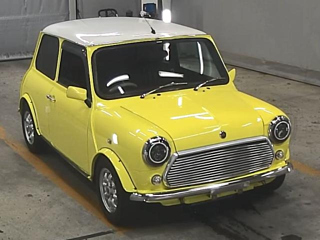 ROVER MINI 2000