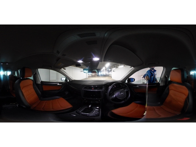 VOLKSWAGEN TIGUAN 2019