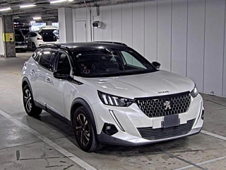 PEUGEOT 2008 2020