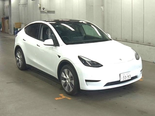 TESLA MODELY