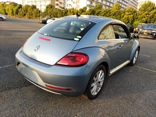 VOLKSWAGEN THE BEETLE 2019