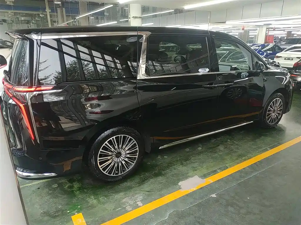 MAXUS OTHER 2024