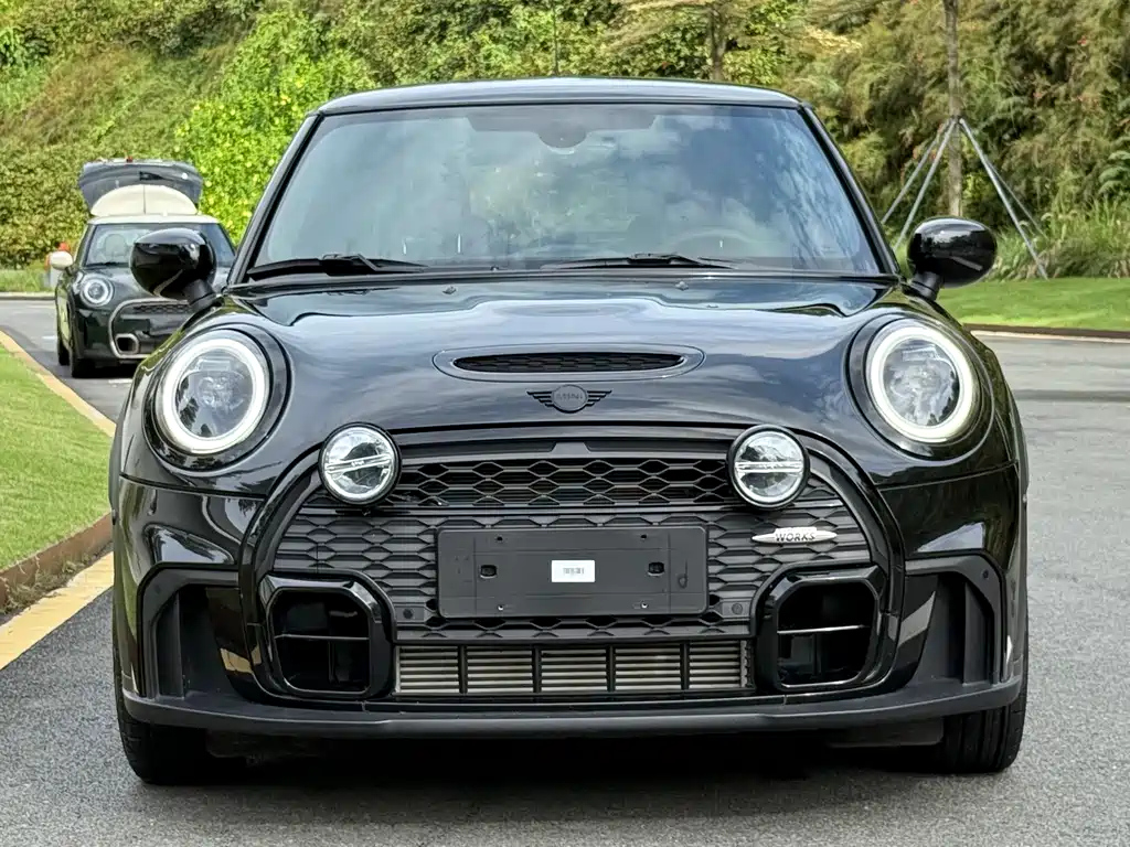MINI OTHER 2023