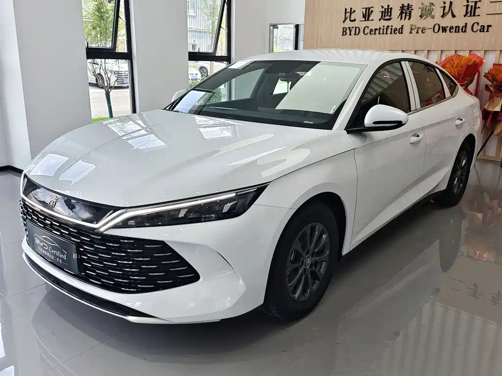 BYD QIN L 2024