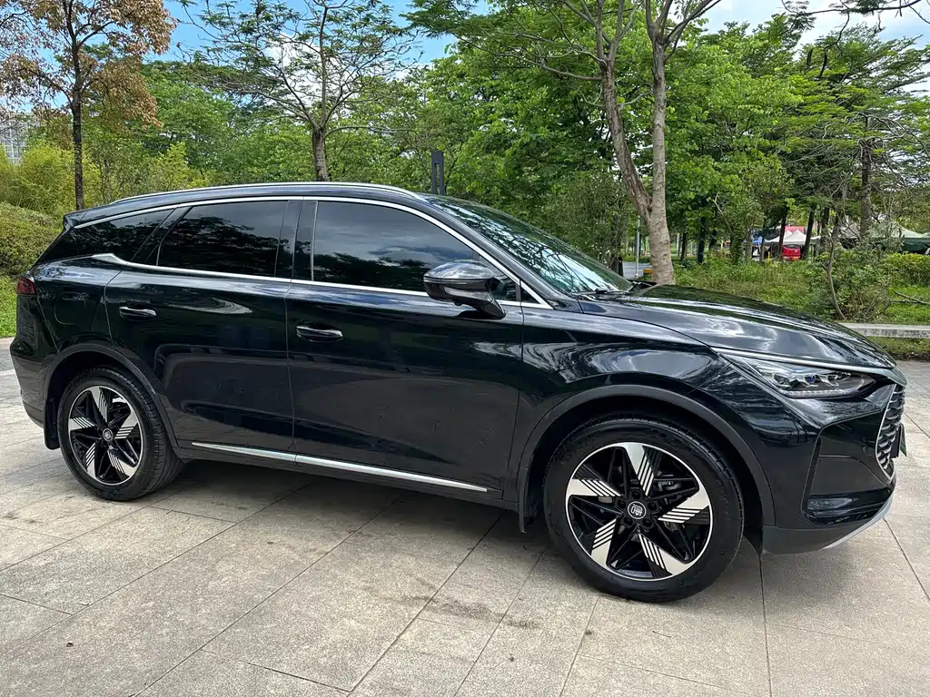 BYD TANG NEW ENERGY 2024