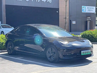 TESLA MODEL 3  2021 YEAR STANDARD RANGE  UPGRADED EDITION 3D6 2021