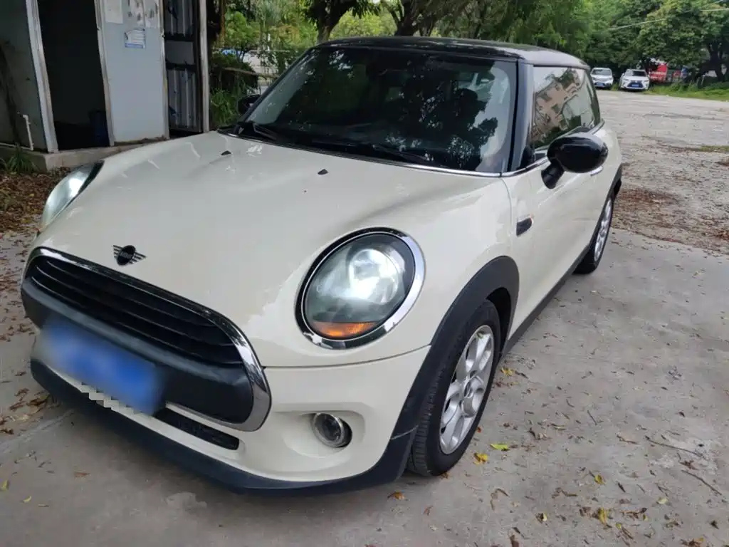 MINI OTHER 2019