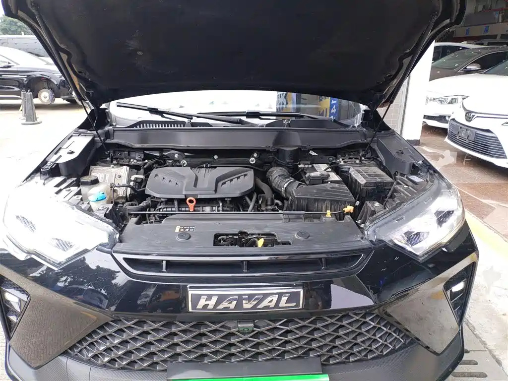 HAVAL H6S 2022