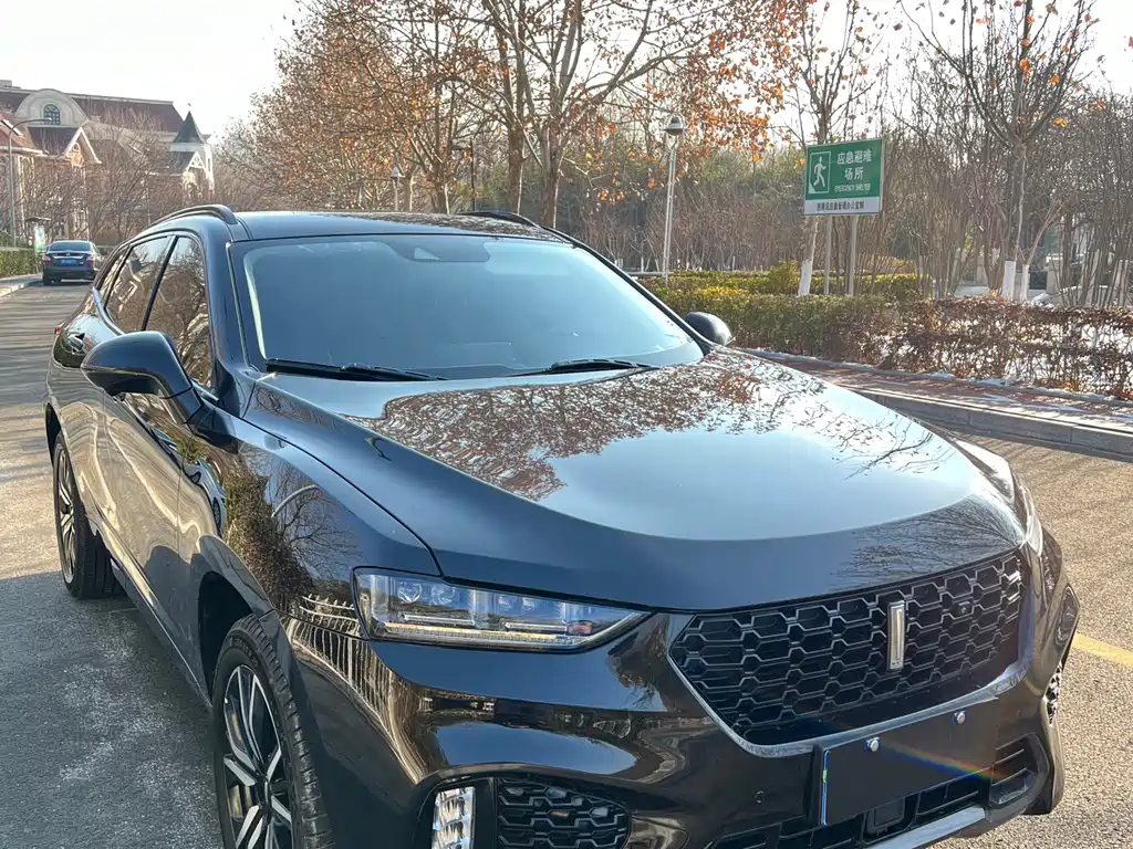 WEY VV7 2019