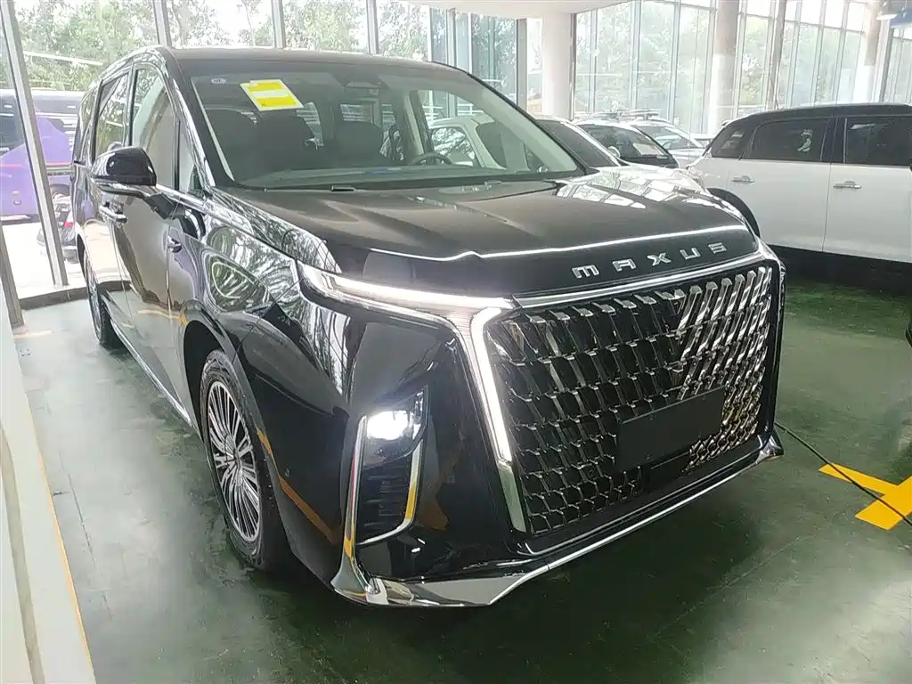 MAXUS OTHER 2024