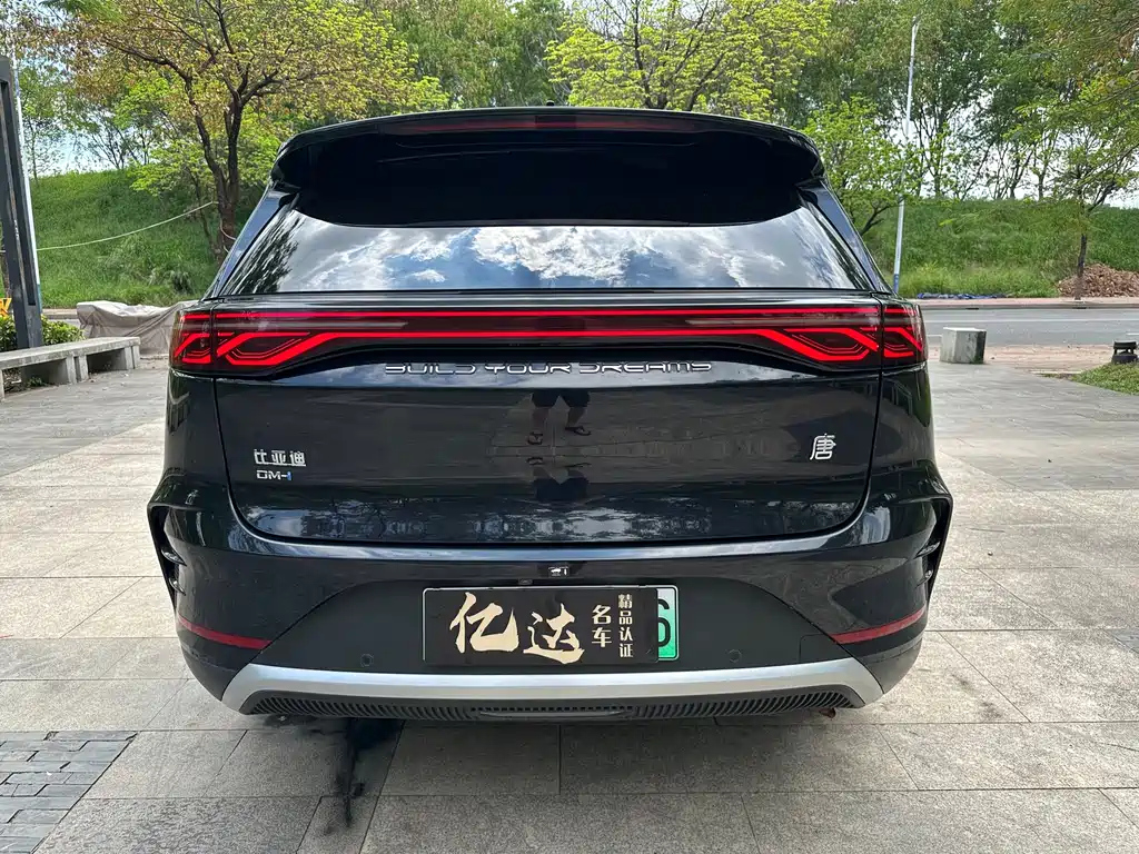 BYD TANG NEW ENERGY 2024