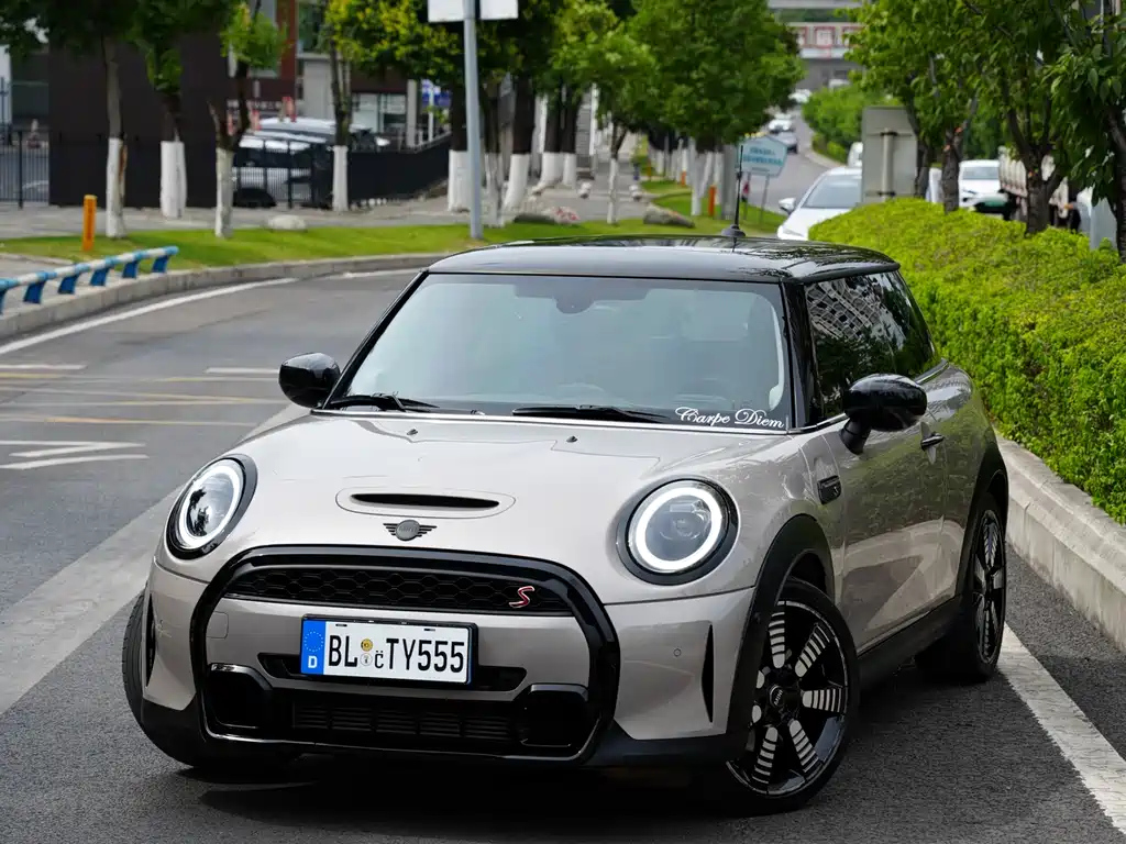 MINI OTHER 2023