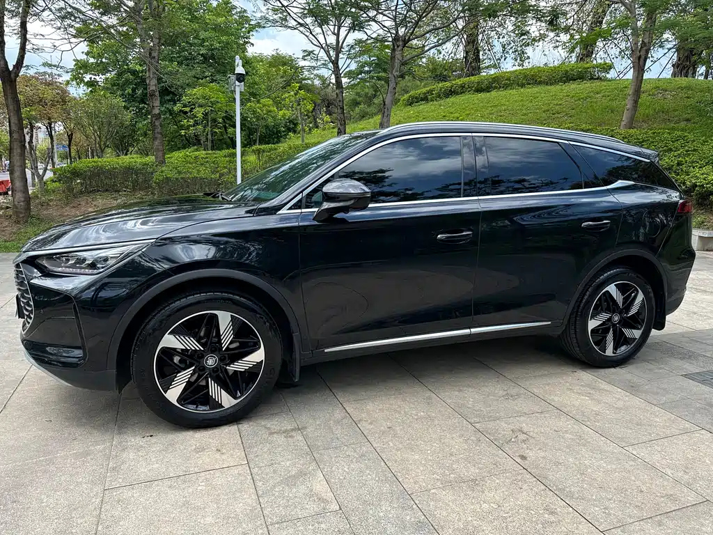 BYD TANG NEW ENERGY 2024