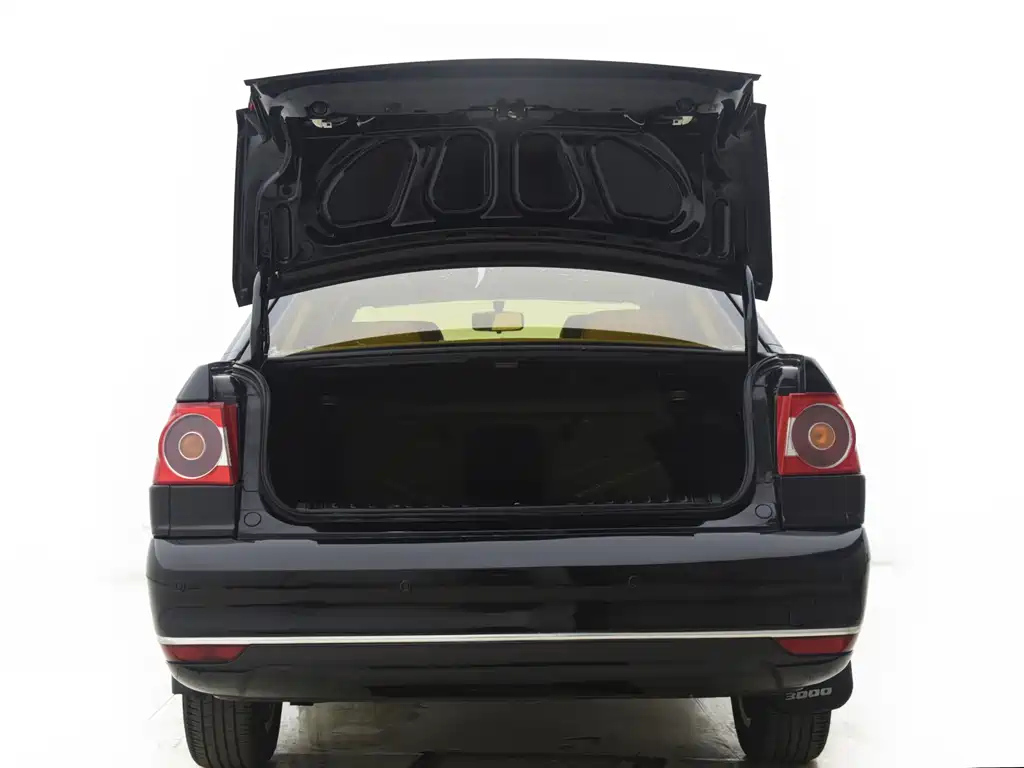 VOLKSWAGEN OTHER 2008