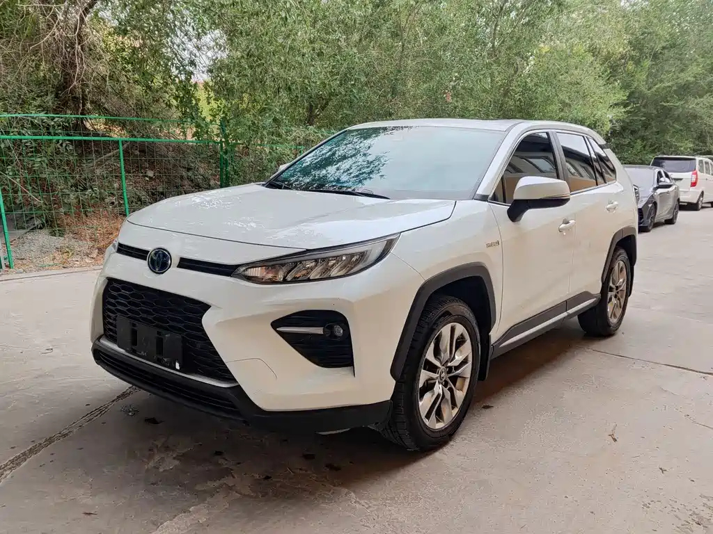 TOYOTA WILDLANDER 2020
