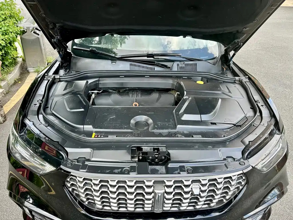 WEY VV5 2021